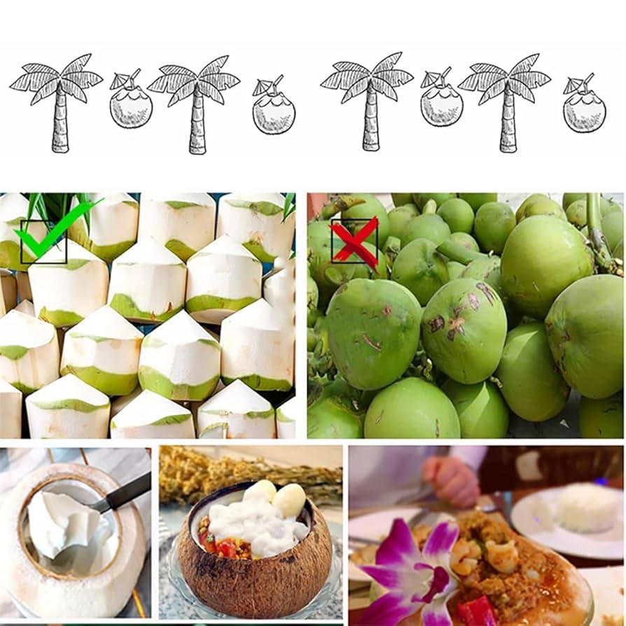 ここなっつ COCO☆NATSU | Derailleur Brew Works Store